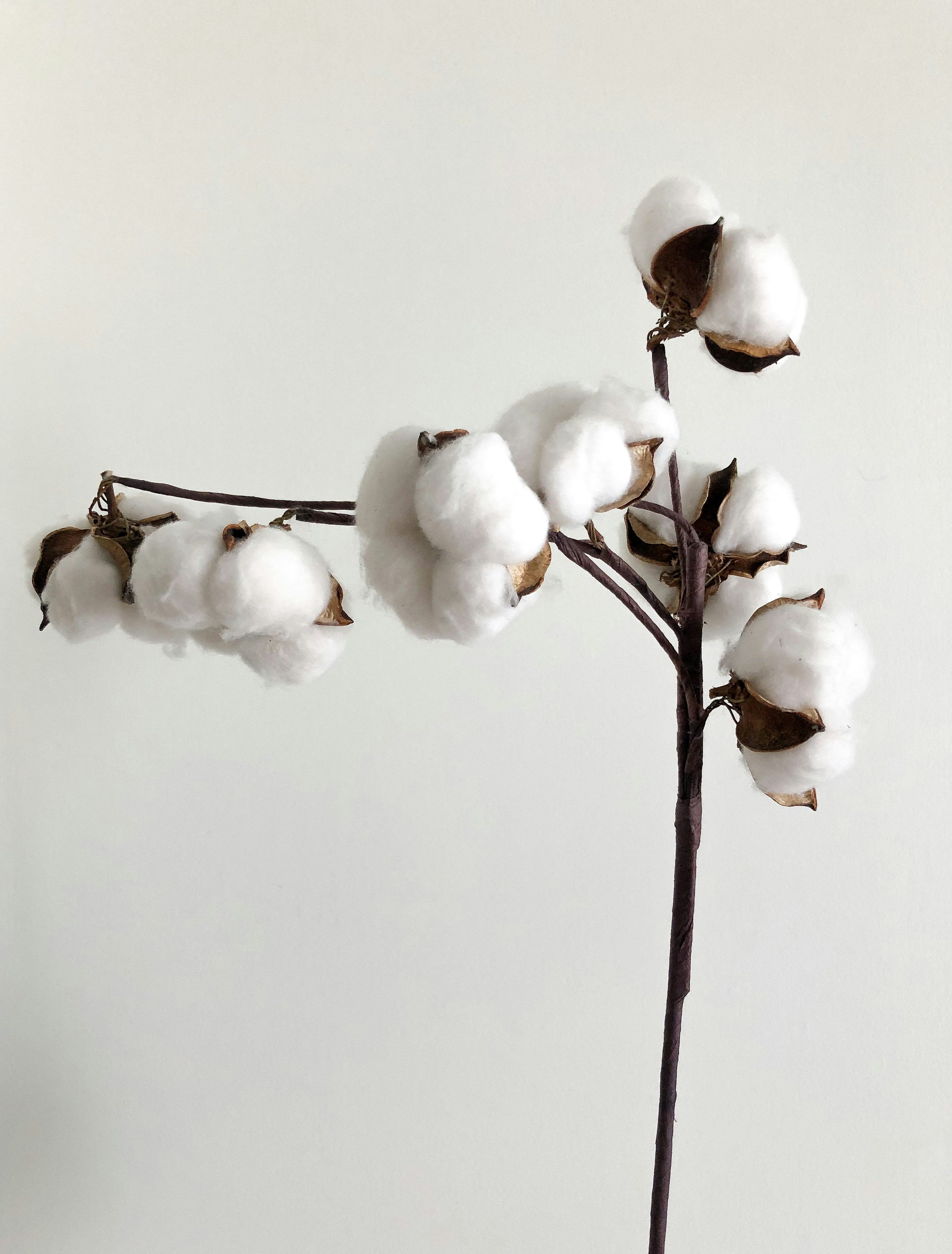 Why Choose Recycled Cotton Jeans? Agolde Has the Answer