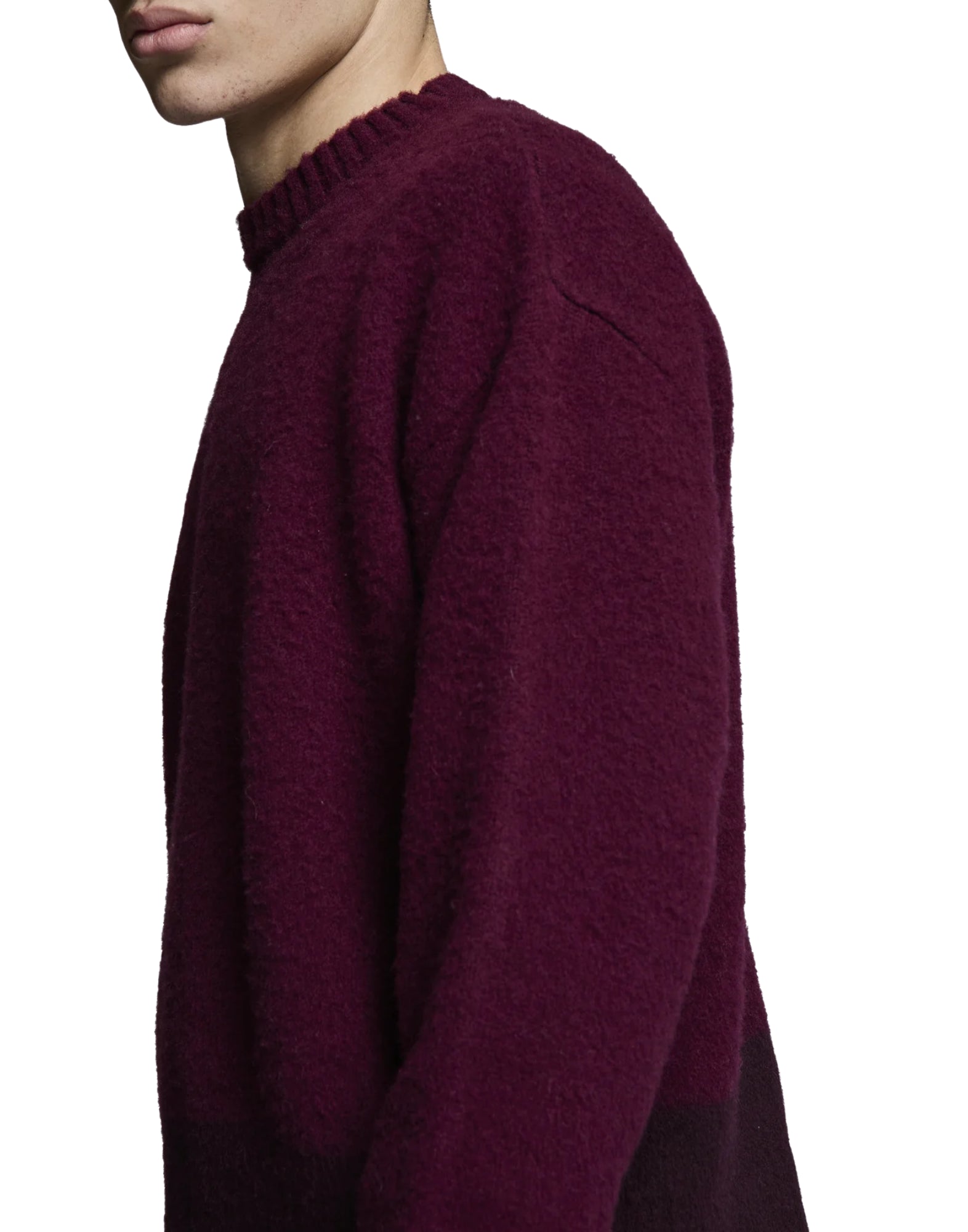 ASIA AMARANTO CREWNECK - Maglieria - PAURA