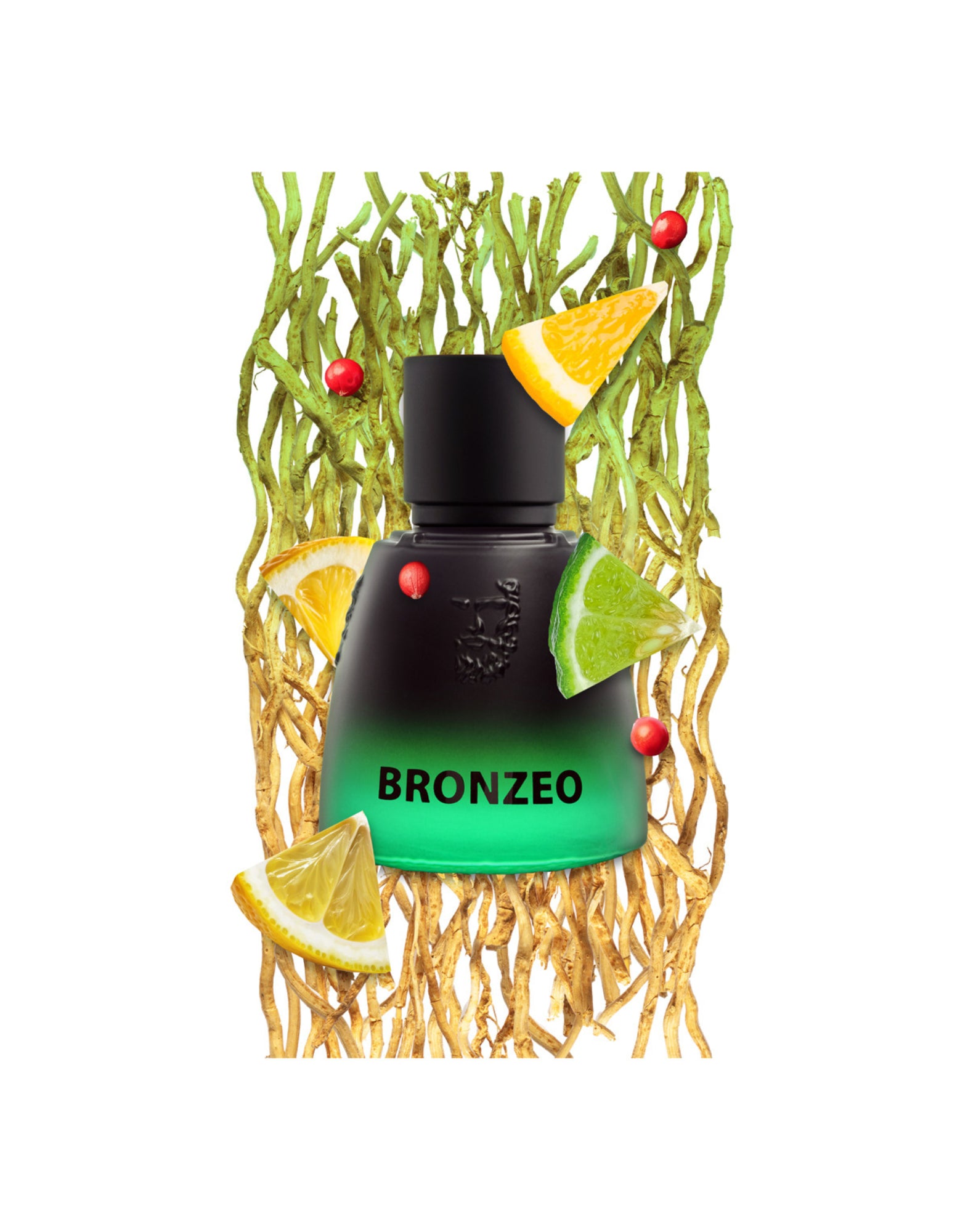 Parfume Unisex Olympia Bronzeo Agatho