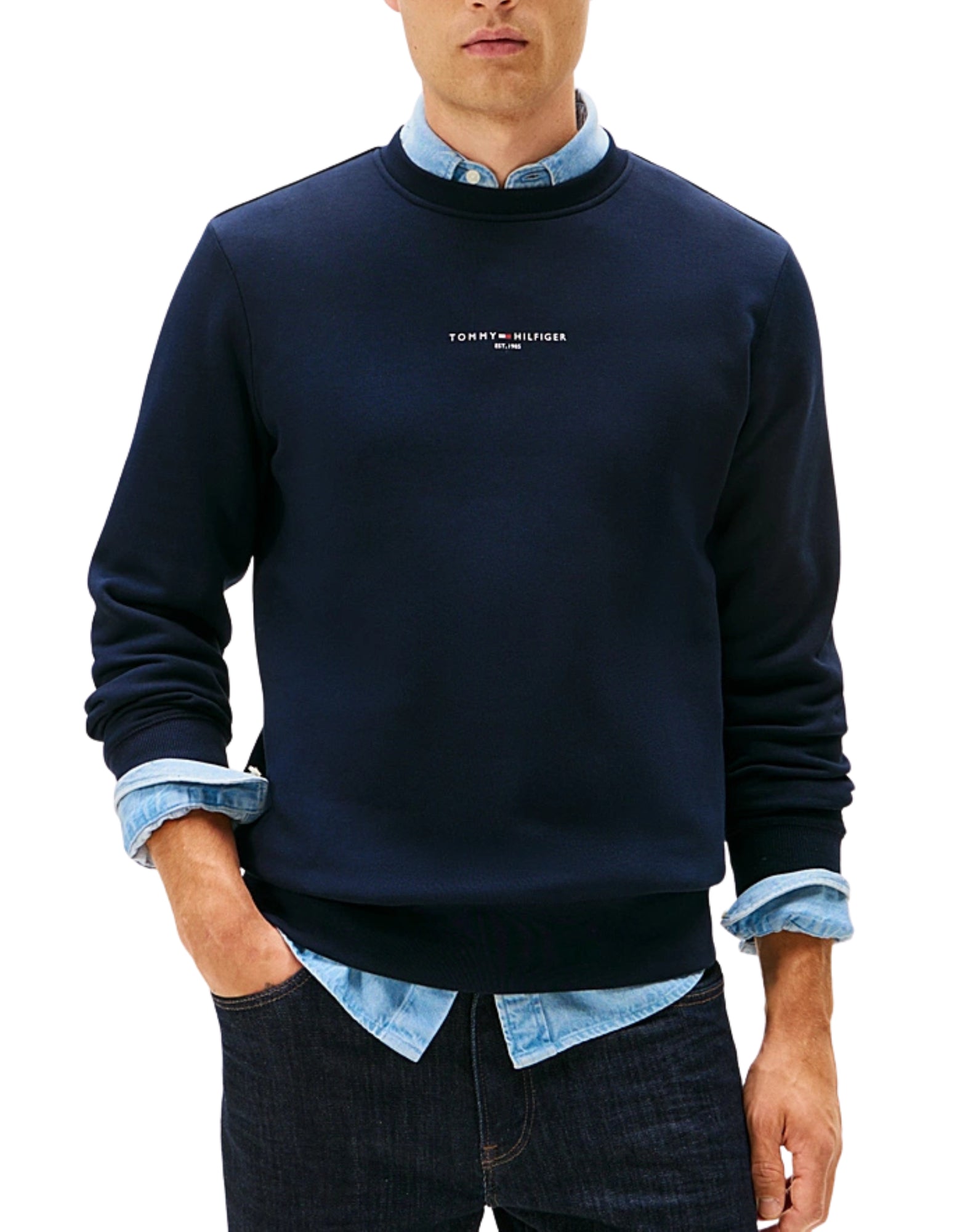 33639 DW5 BLAUER PULLOVER MIT LOGO - Maglieria - TOMMY HILFIGER