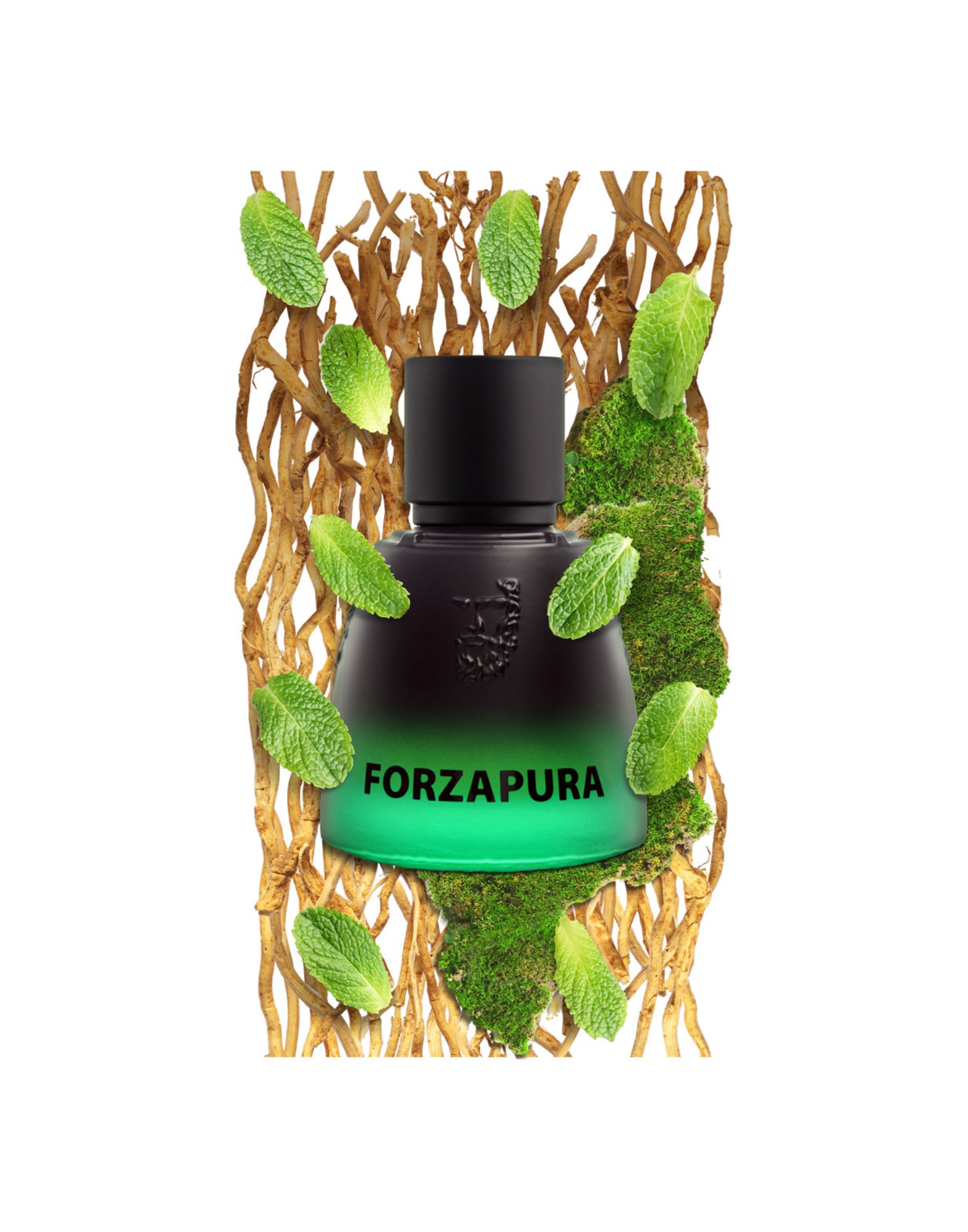 Parfume Unisex Olympia Forzapura Agatho