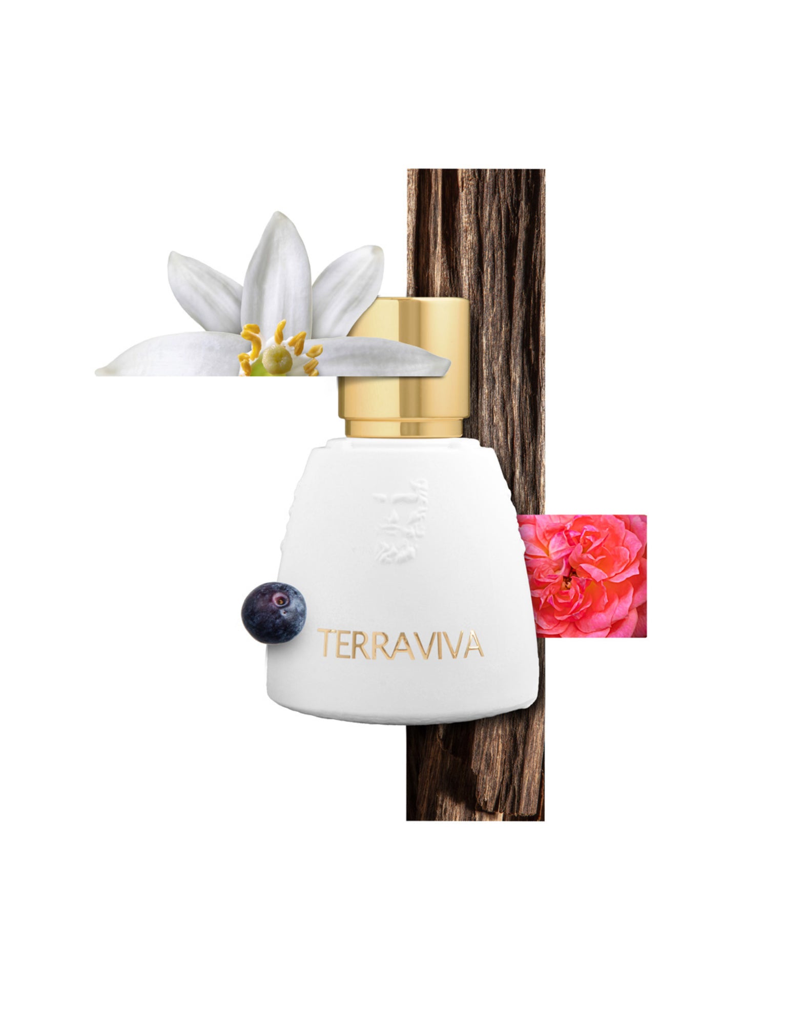 Parfume Unisex Mytho Terraviva Agatho
