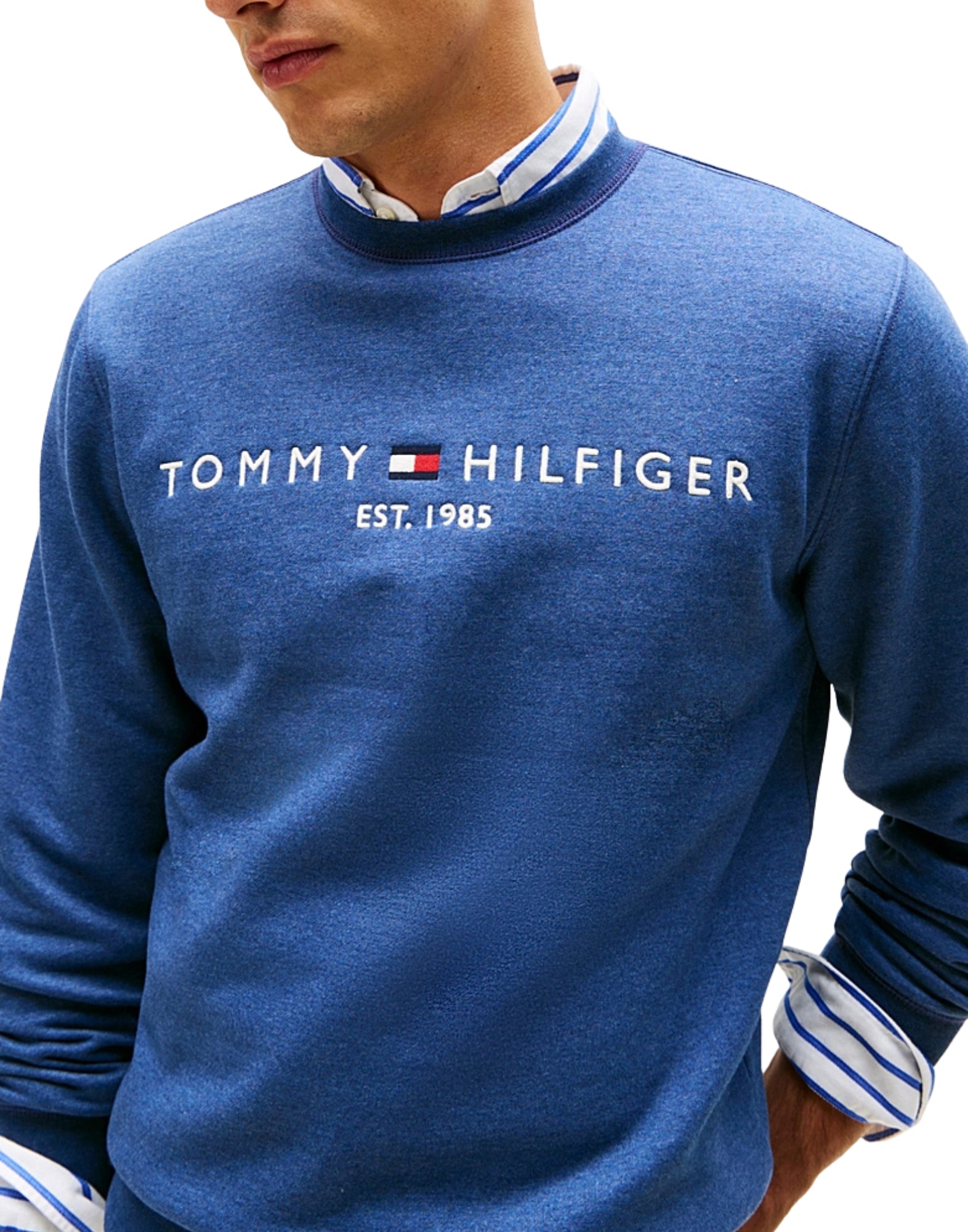 11596 DVI SWHEATSHIRT MIT BLAUEM MEERLOGO - Maglieria - TOMMY HILFIGER