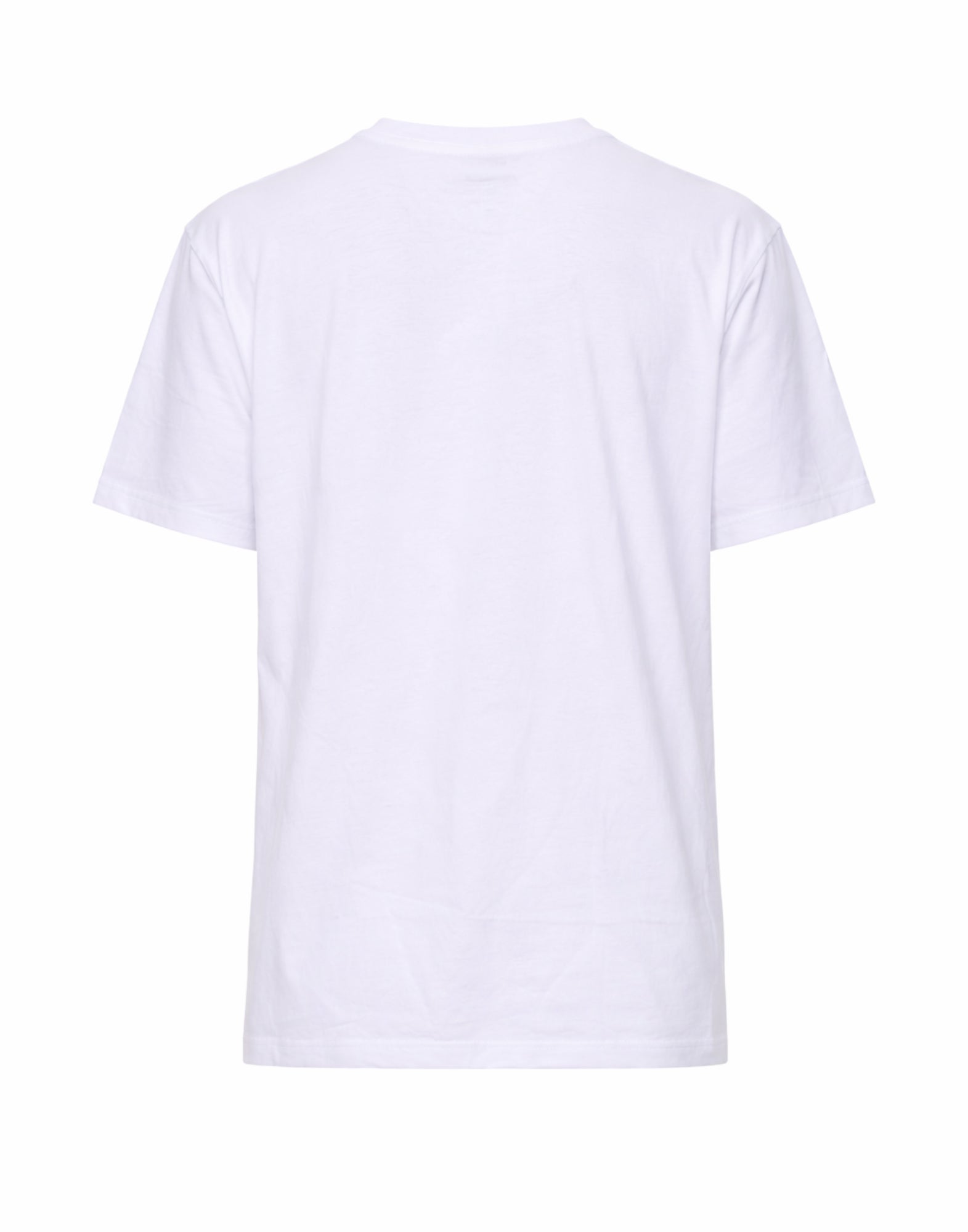 Blauer Brush Men's Cotton T-shirt in Optic White with Graphic Print 26SBLUH02283-007480 100