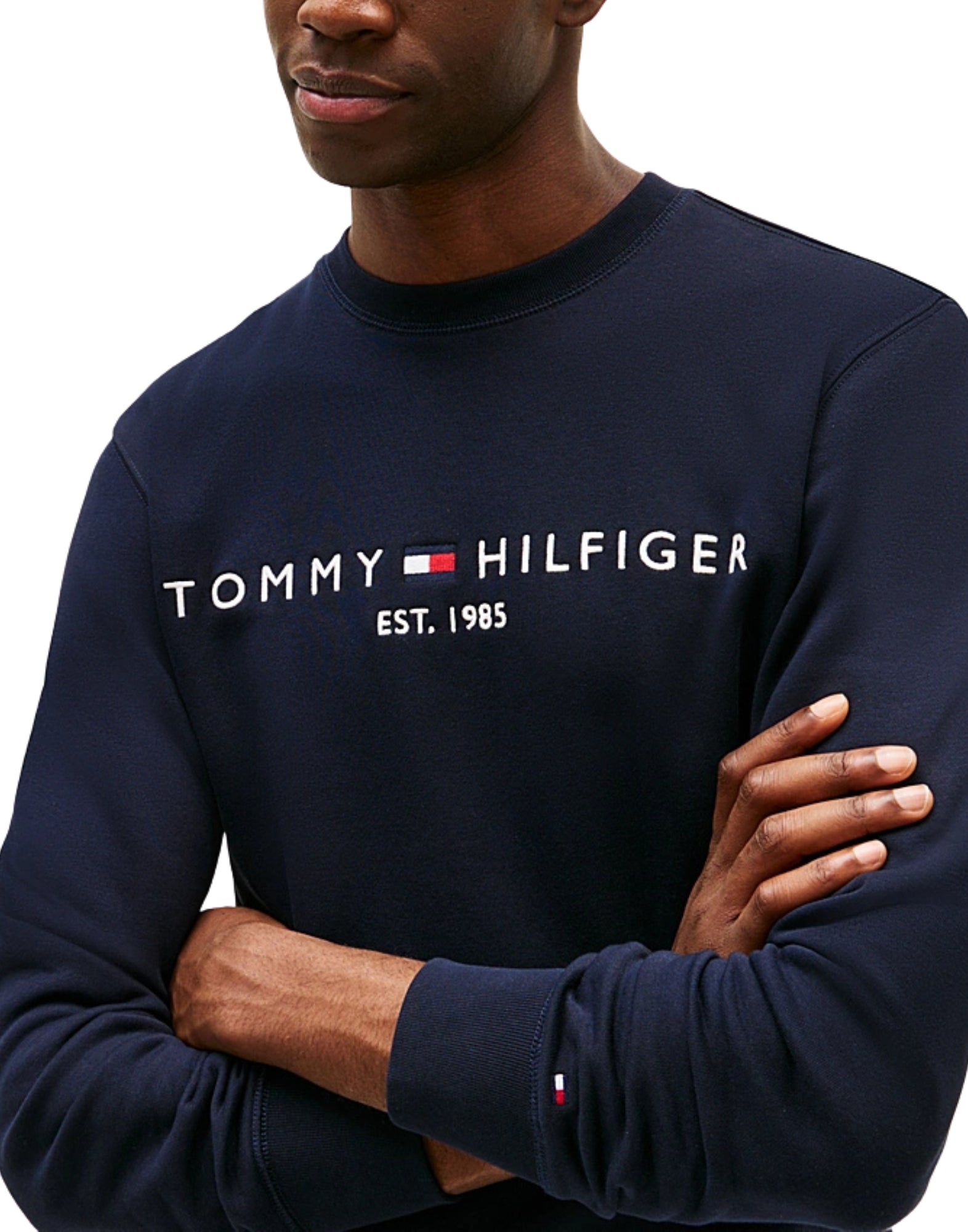 11596 DW5 SWHEATSHIRT MIT BLAUEM LOGO - Maglieria - TOMMY HILFIGER