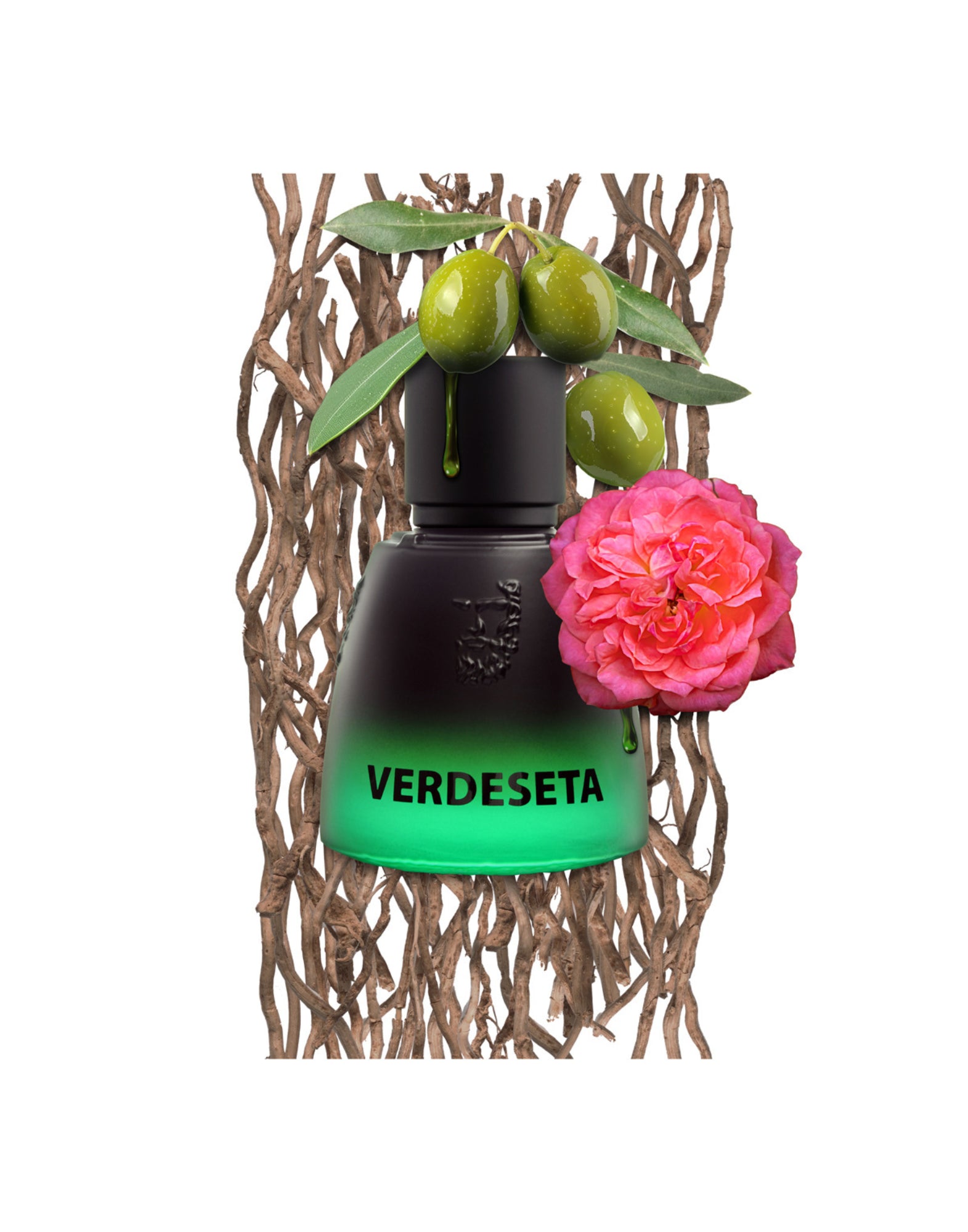 Parfume Unisex Olympia Verdeseta Agatho