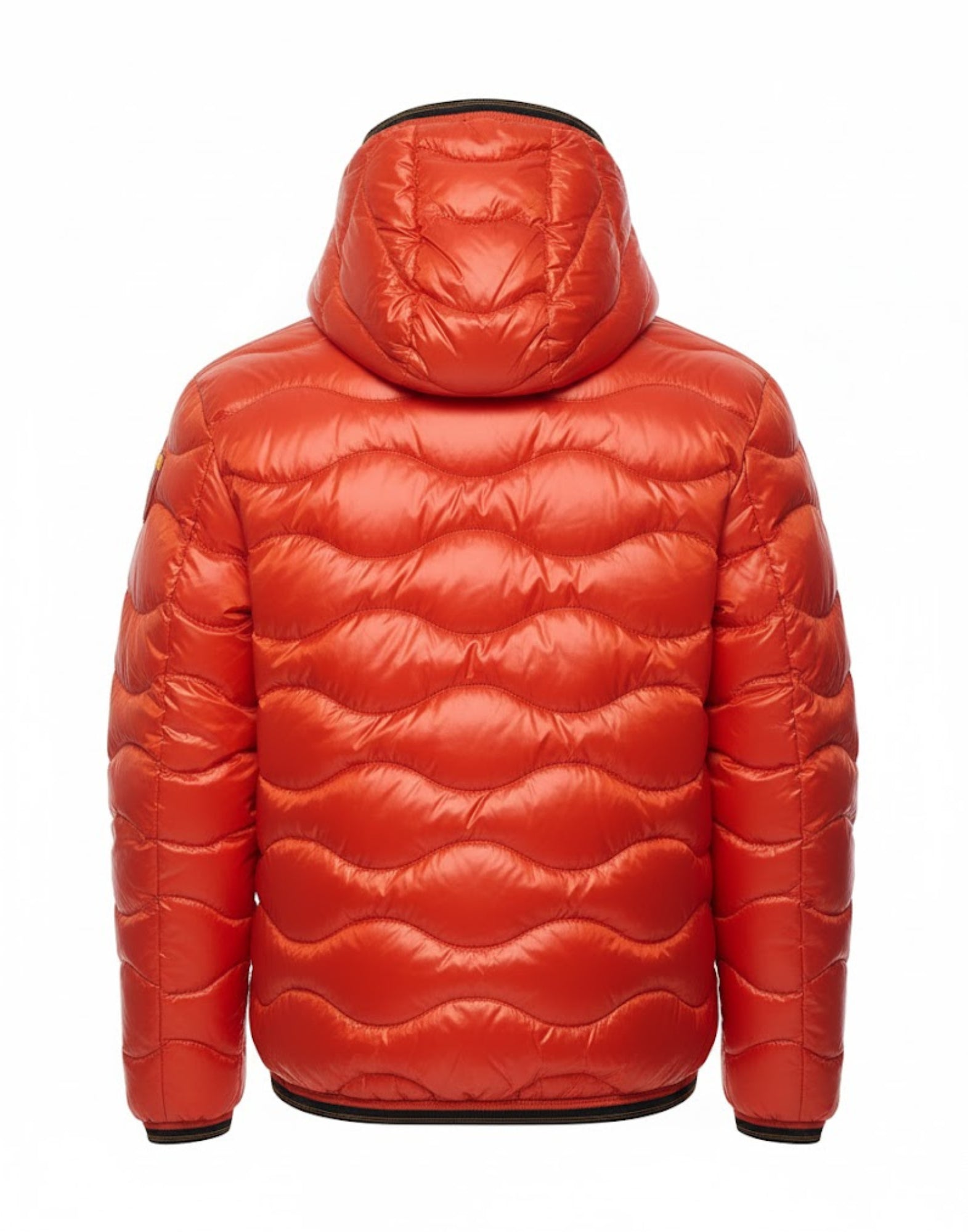 25WBLUC03074 06355 461 ORANGE - Giacche - Blauer