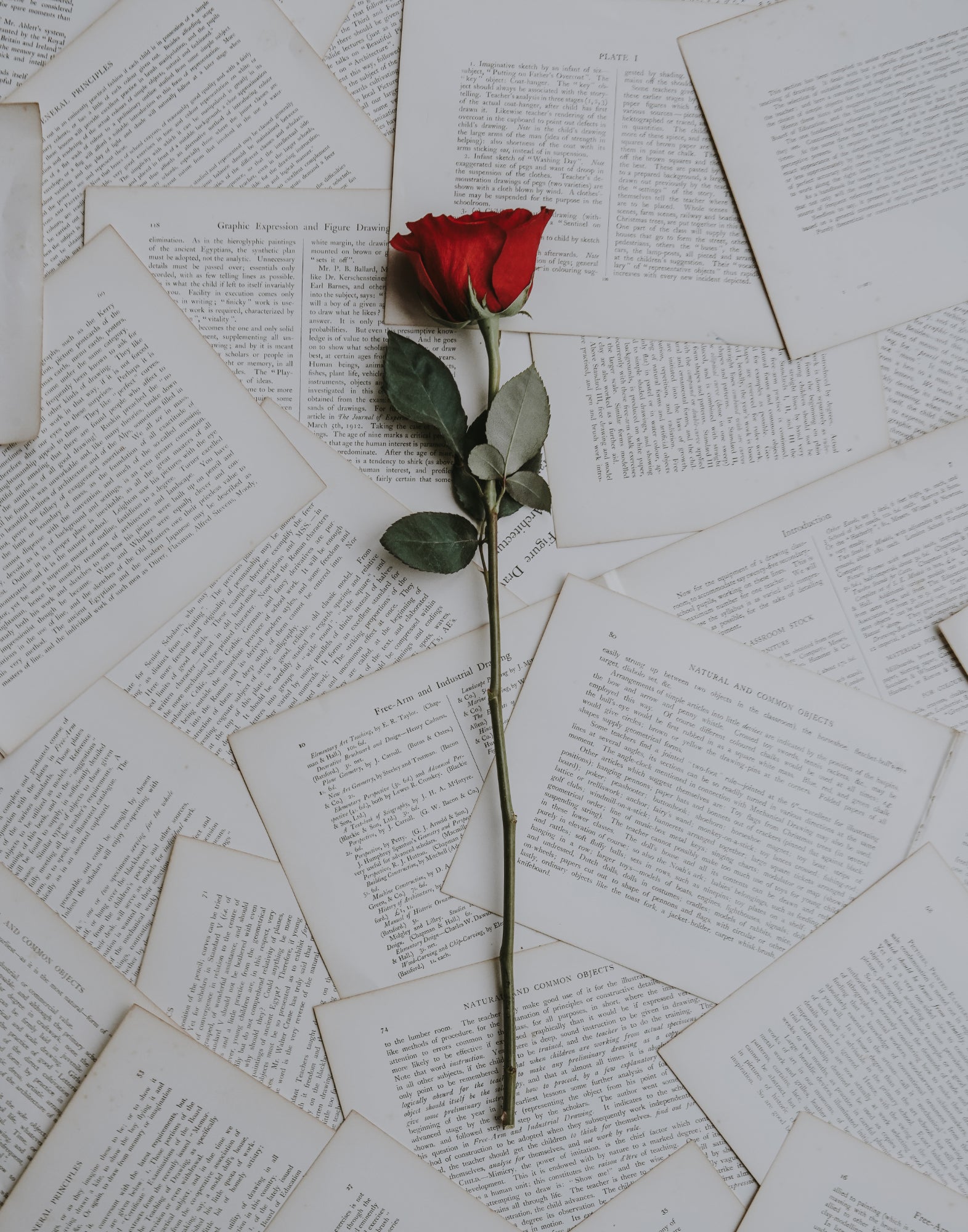 향수 유니esex 앙코르 du 템스 MEO FUSCIUNI