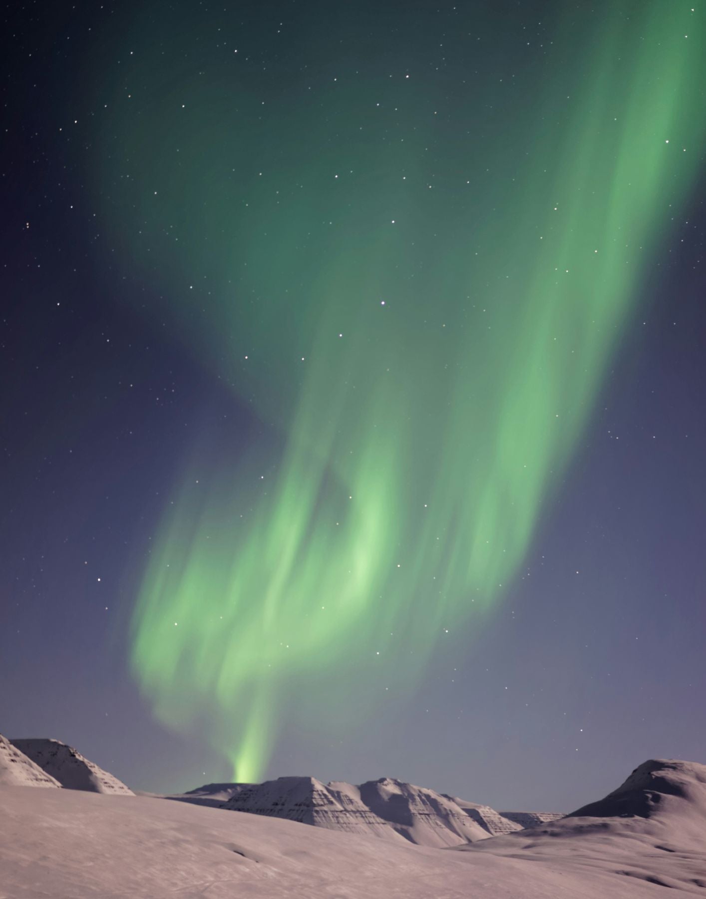 지난 시즌 Parfum Unisex MEO FUSCIUNI