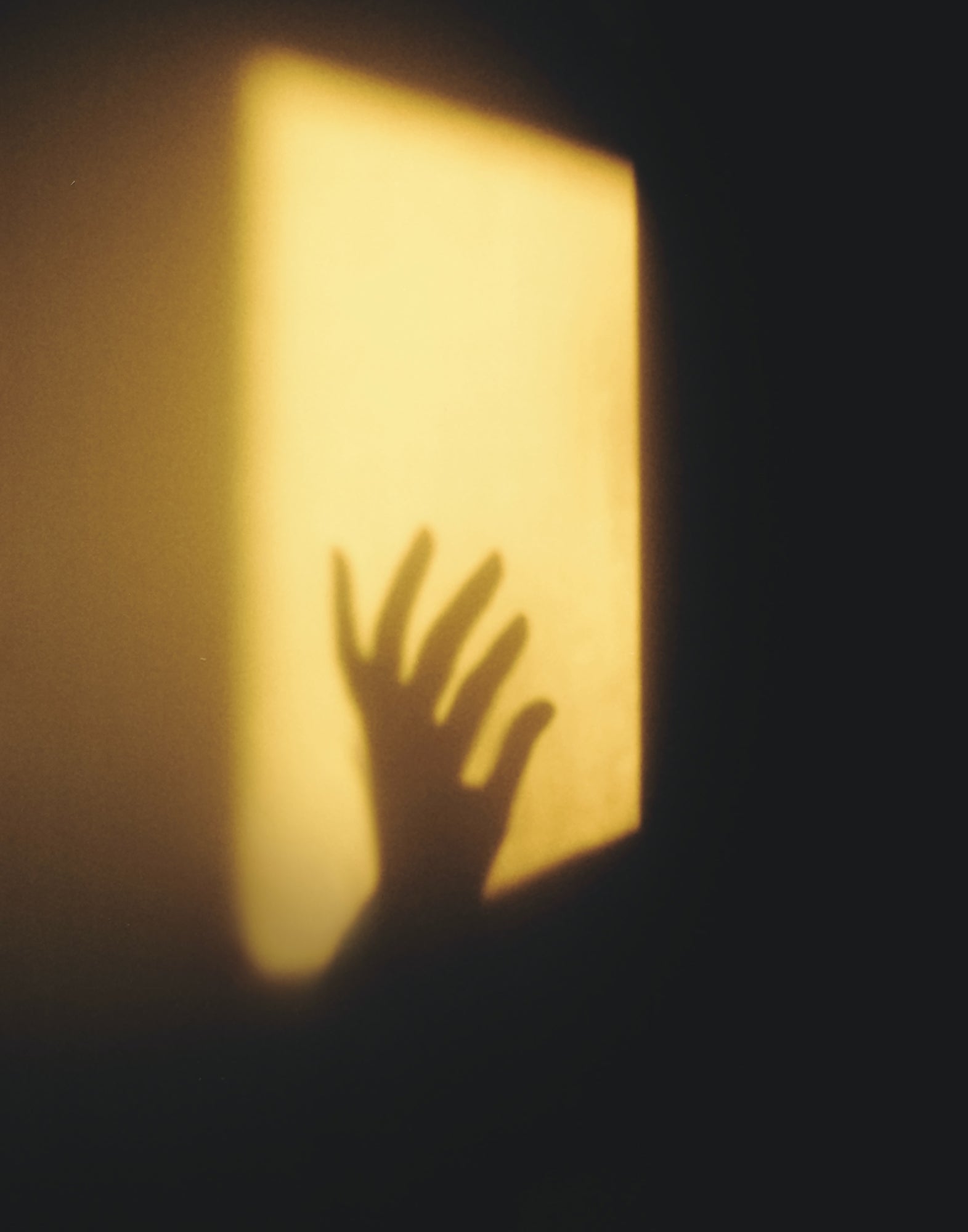 Parfum Unisex Luce MEO FUSCIUNI