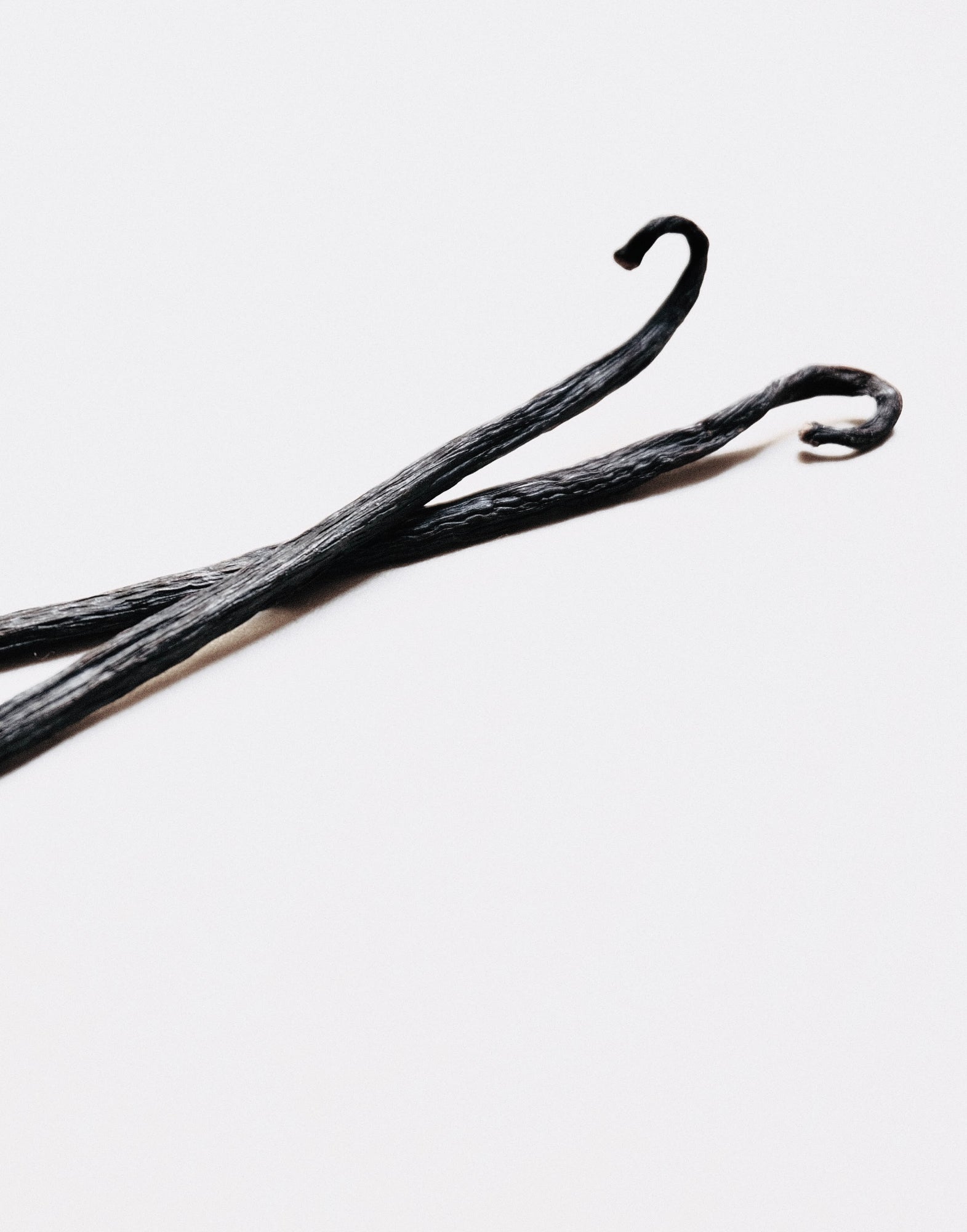 Parfum unisex odor 93 MEO FUSCIUNI