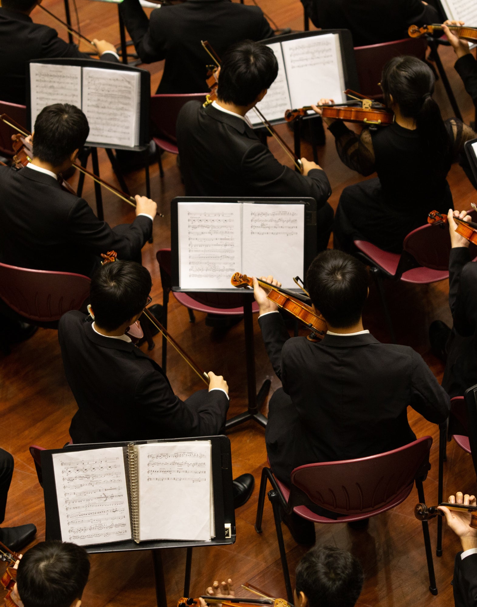 Parfum Unisex Little Song MEO FUSCIUNI