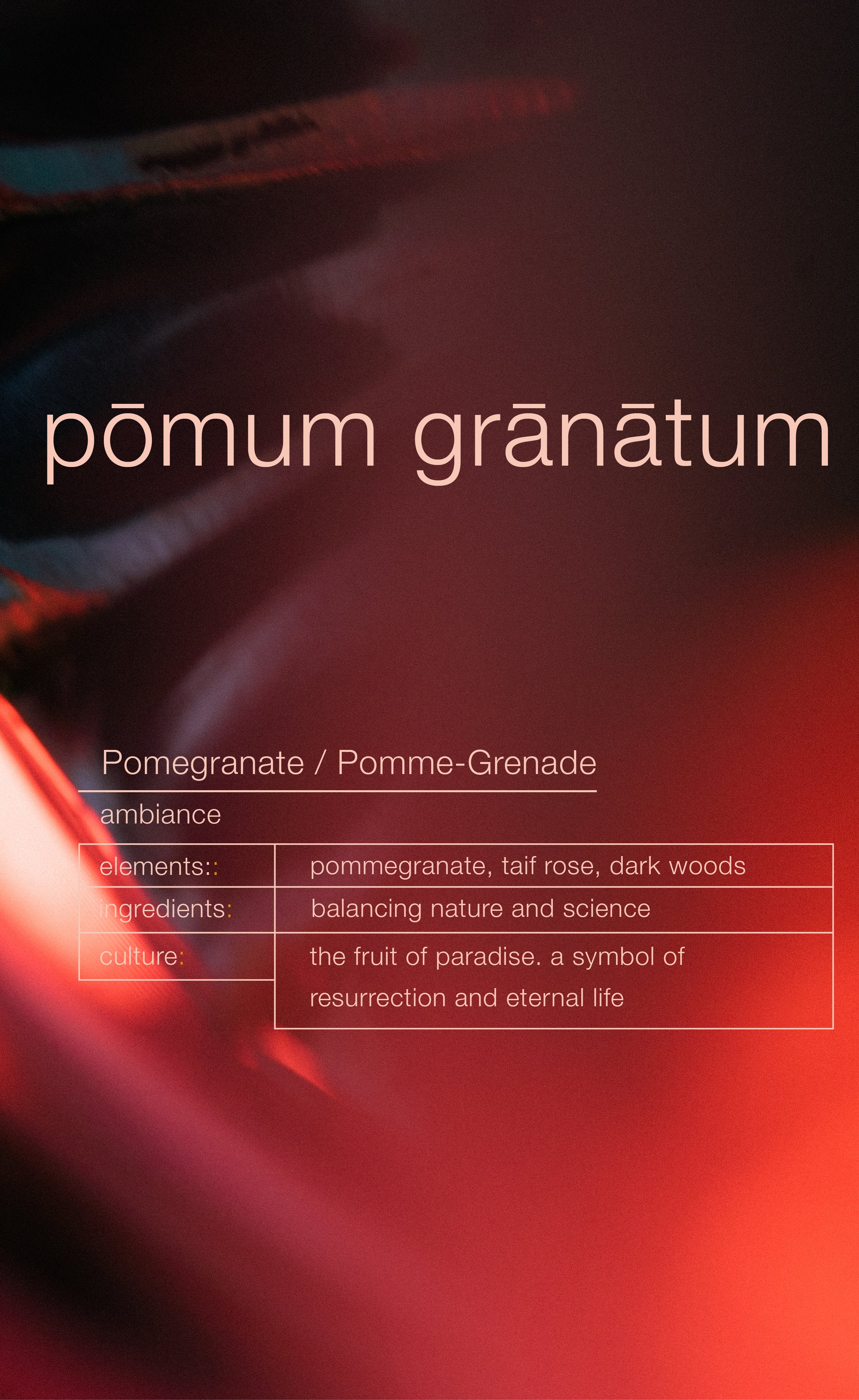 Diffuseur d'ambiance ZEN AMBIANCE POMUM GRANATUM ZENOLOGY