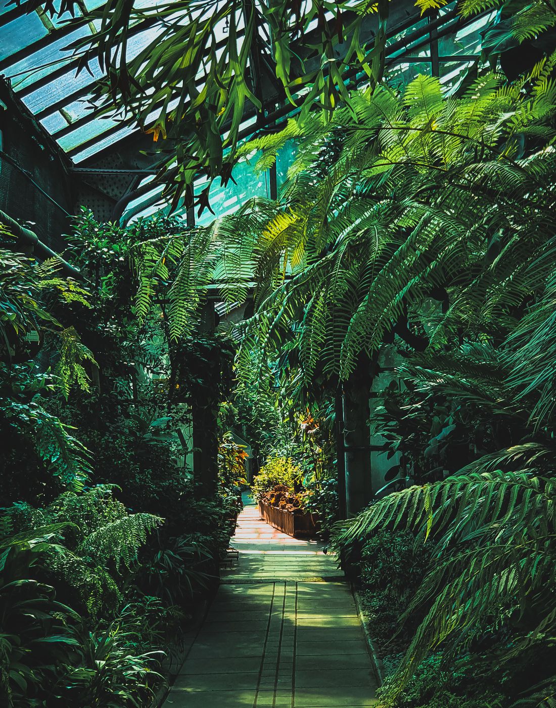 Parfum Unisex Spirito MEO FUSCIUNI