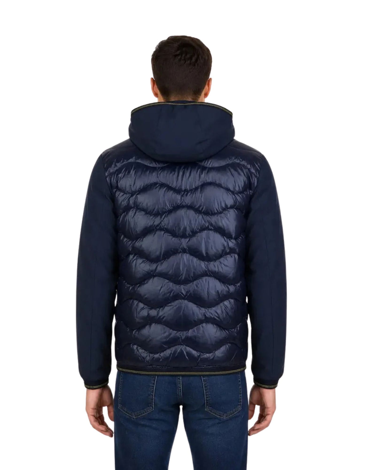 Albert Dark Blue