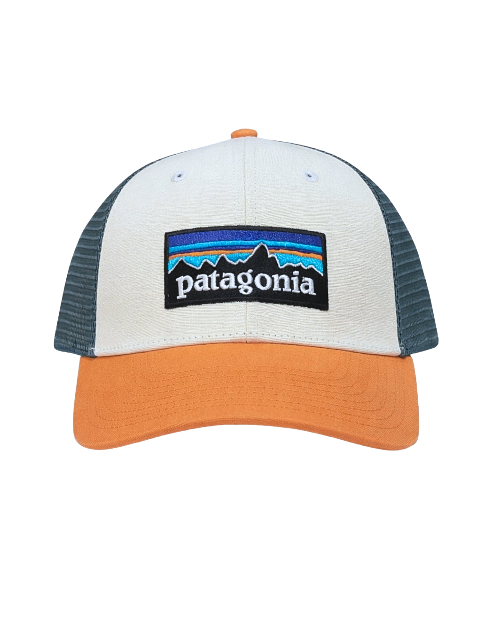 Patagonia P-6 Logo LoPro Trucker Hat Multicolor Men’s 38283 WTPE
