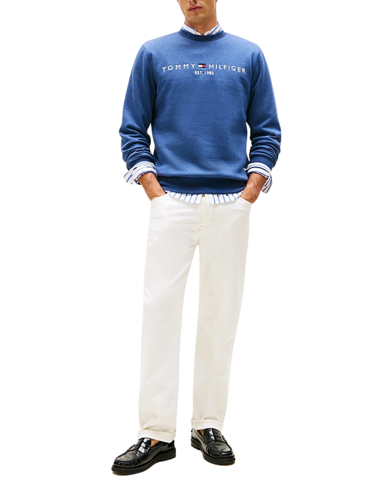 11596 DVI SWHEATSHIRT MIT BLAUEM MEERLOGO - Maglieria - TOMMY HILFIGER