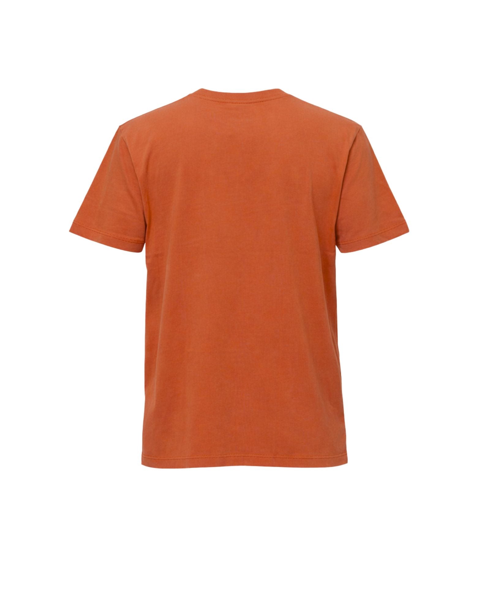 SUNS Boards Paolo Old Dye Organic Cotton T-Shirt Coccio Men’s TSS61015U V3 COCCIO