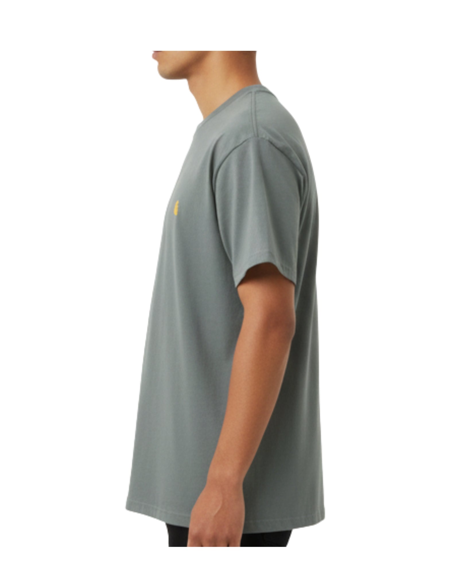I026391 3H4.XX GREEN CHASE T-SHIRT - Maglieria - CARHARTT WIP