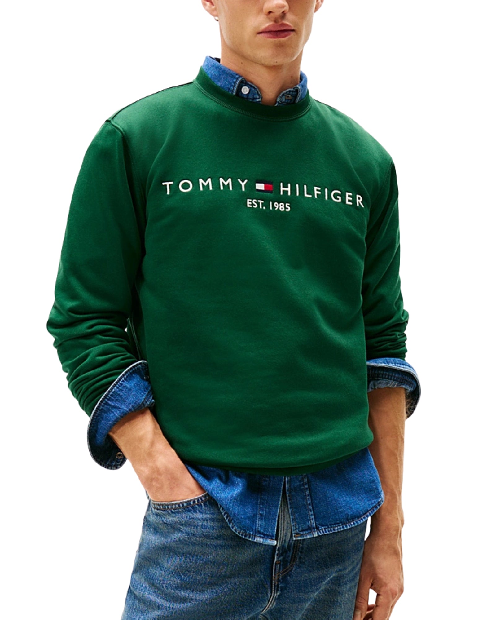 11596 L6K GRÜNES LOGO-SWHEATSHIRT - Maglieria - TOMMY HILFIGER