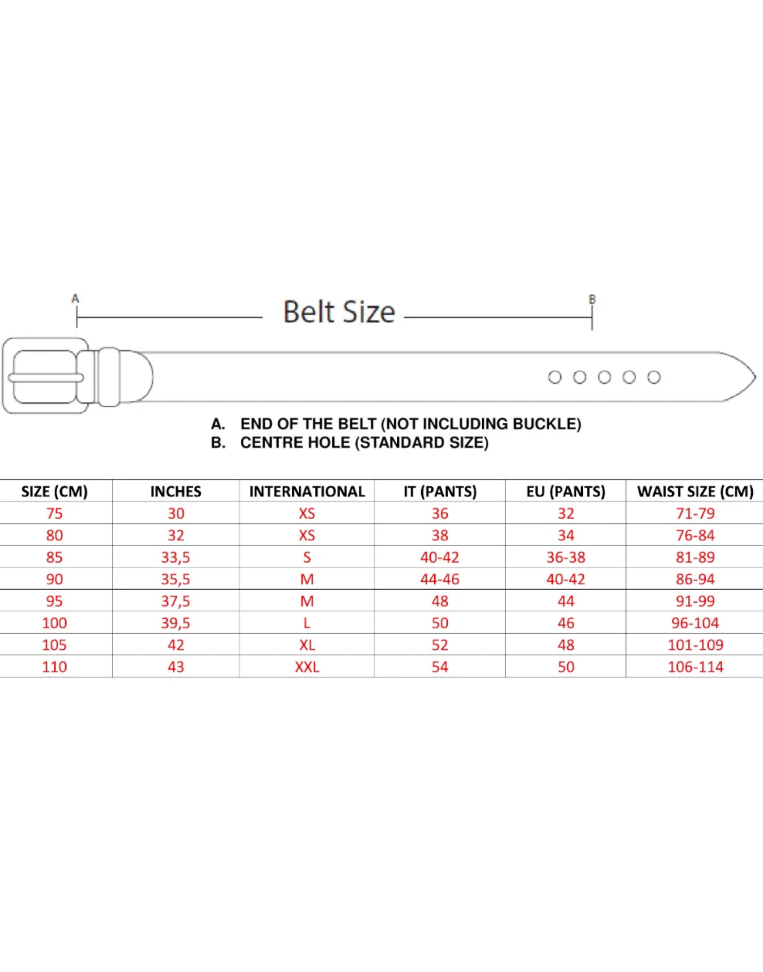 Belt man 5000 STUD BELT I038 BLACK HTC