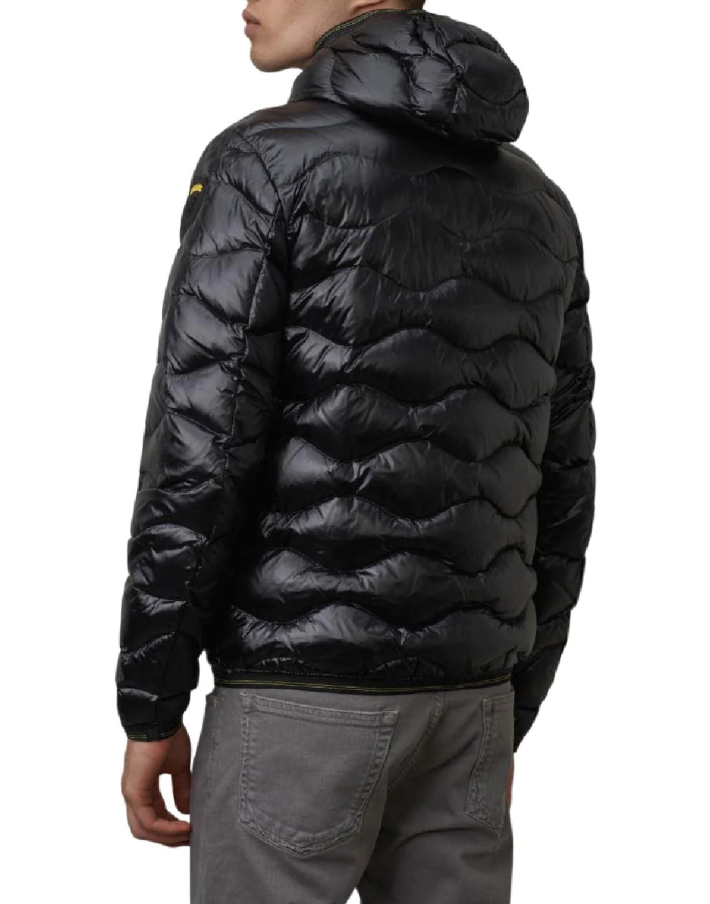 Jacket man 23WBLUC03005 006355 999 Blauer