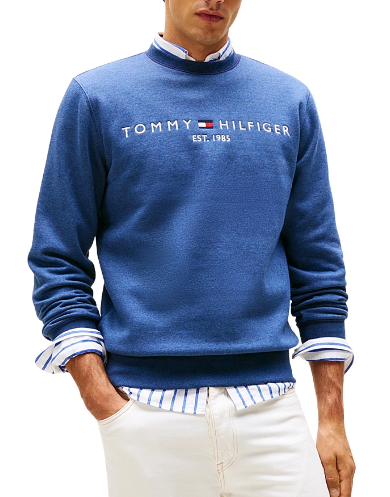 11596 DVI SWHEATSHIRT MIT BLAUEM MEERLOGO - Maglieria - TOMMY HILFIGER