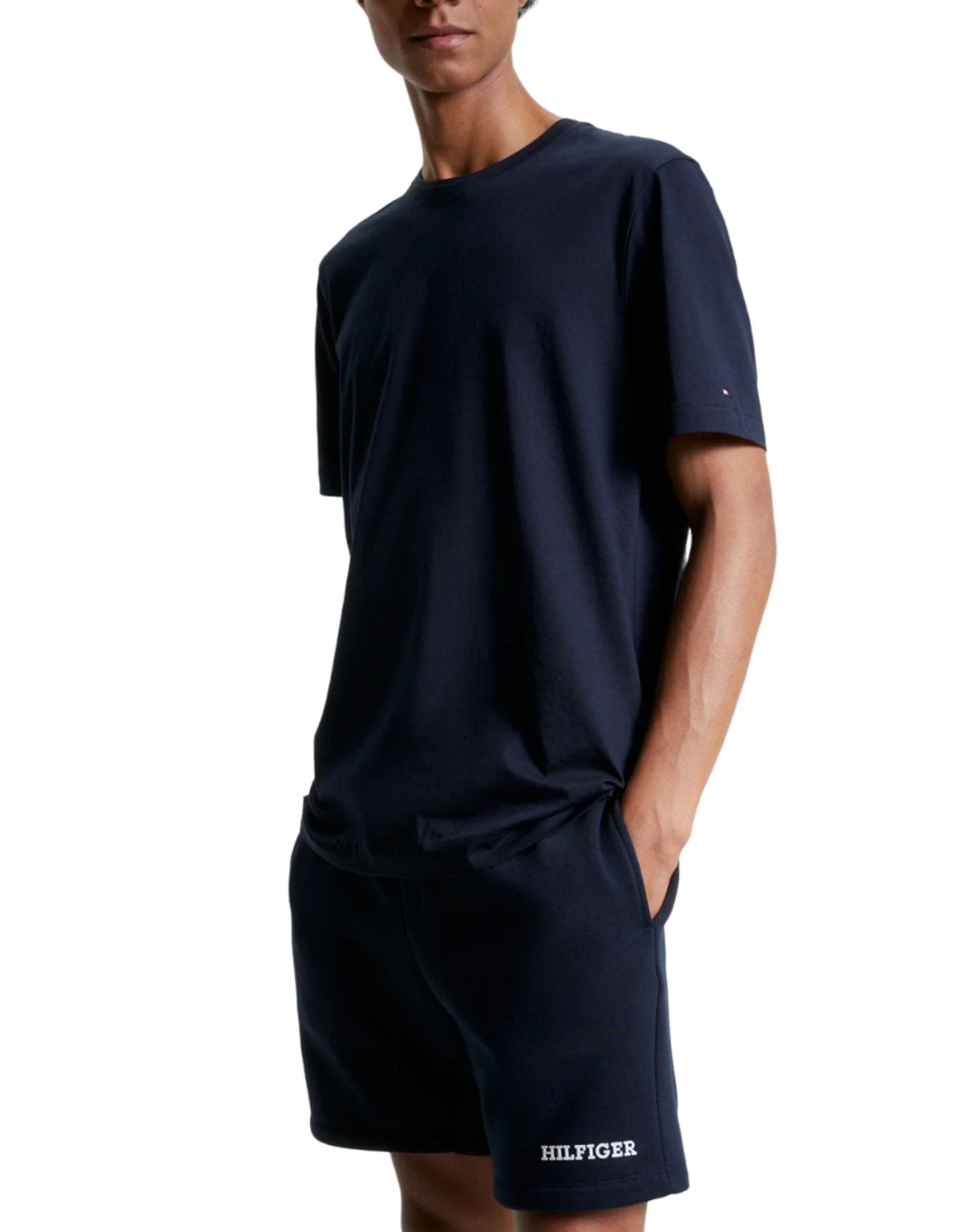 T-shirt man MW0MW31526 DW5 TOMMY HILFIGER