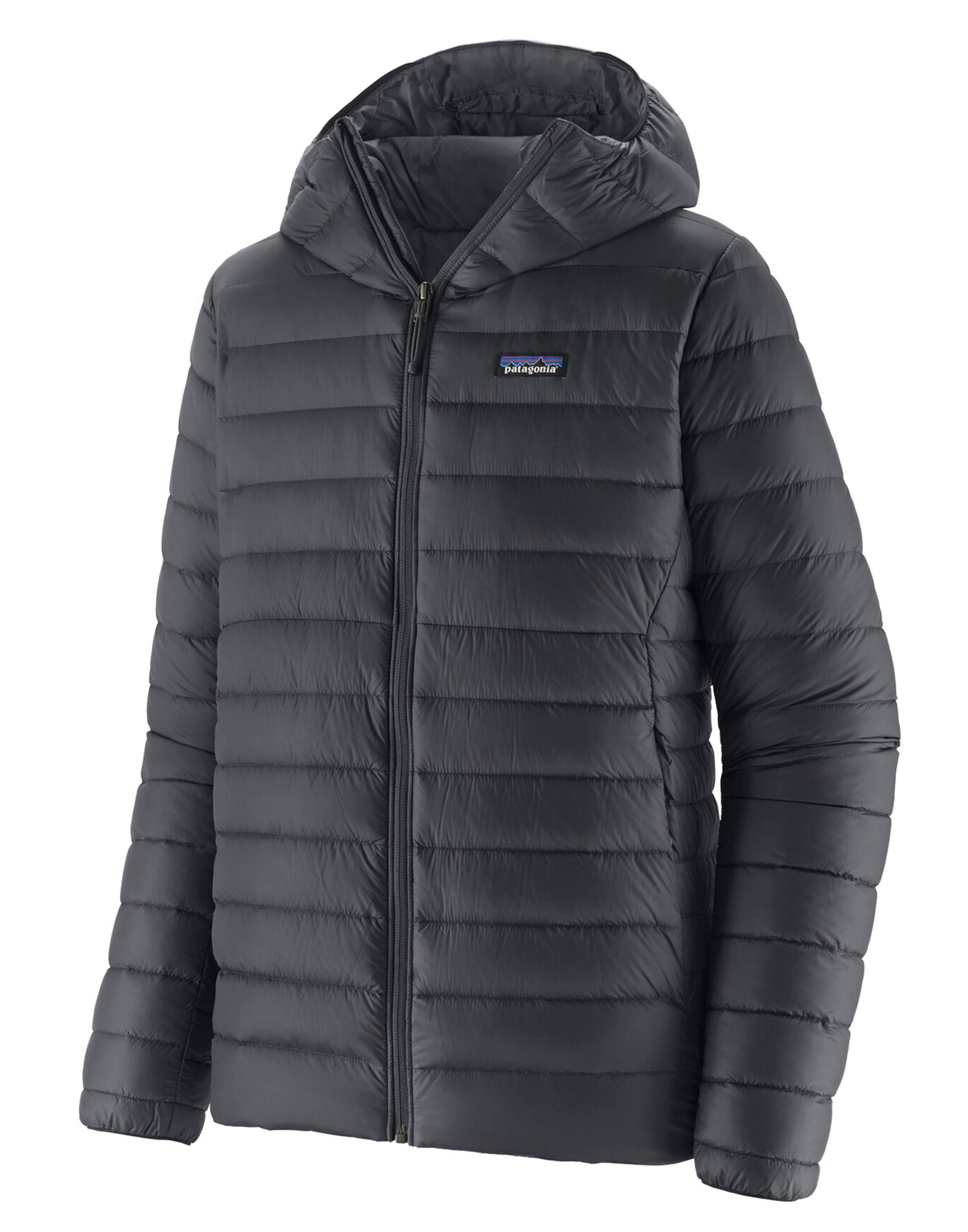 Jacket man 84702 BLK DOWN SWEATER HOODY Patagonia