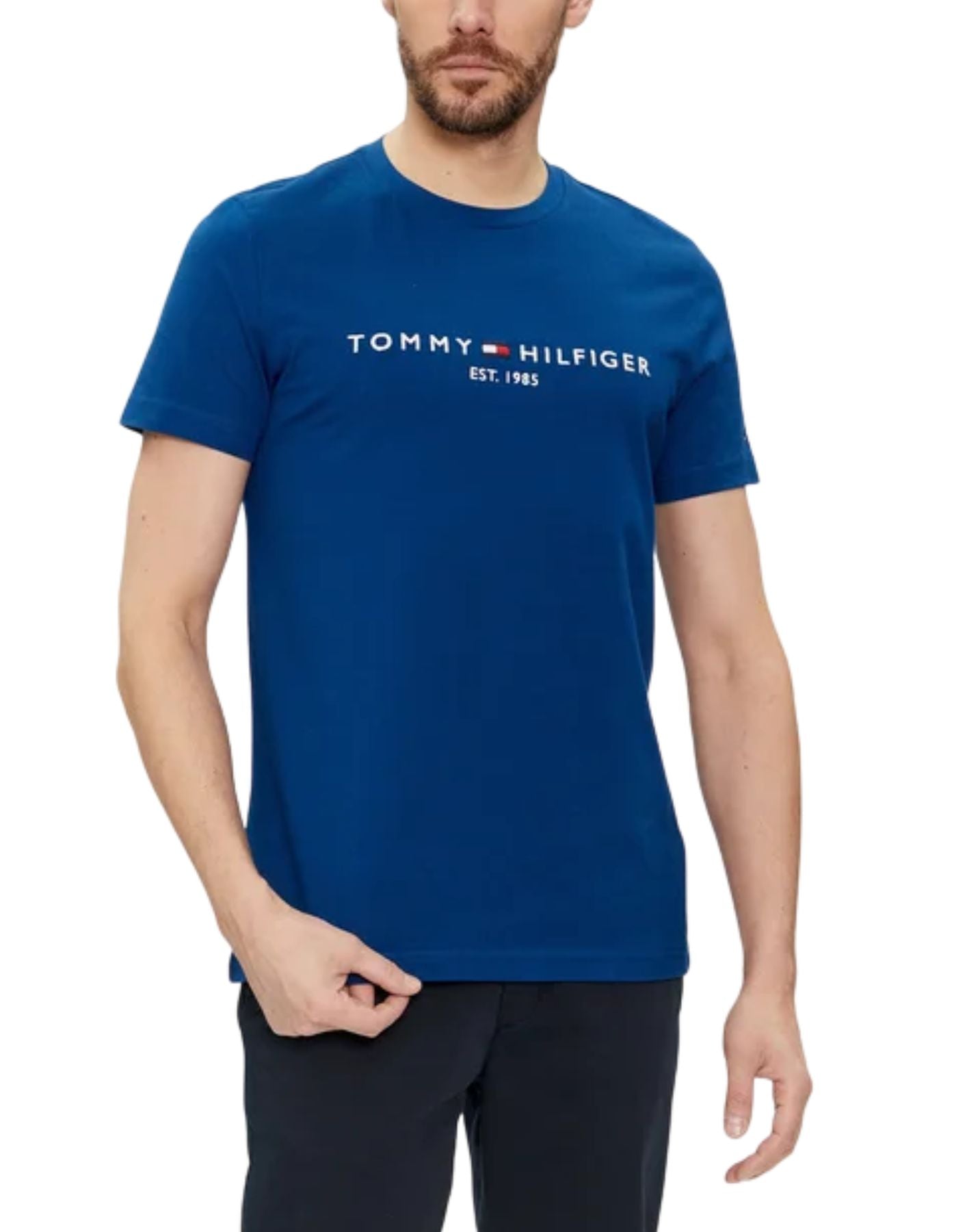 티셔츠 맨 MW0MW11797 C5J Tommy Hilfiger