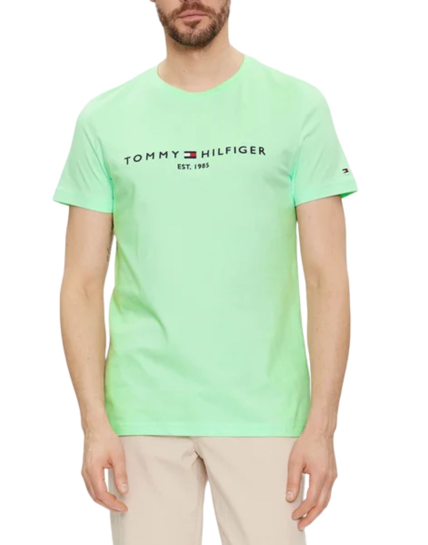 Camiseta Man MW0MW11797 LXZ Tommy Hilfiger