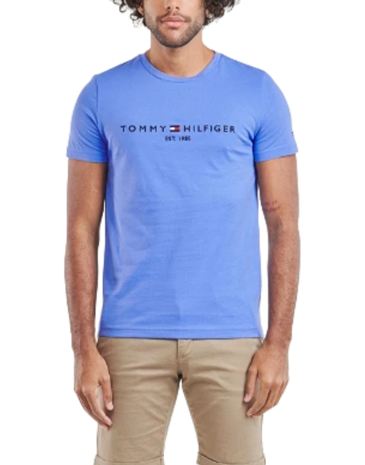 T-Shirt Man MW0MW11797 C30 Tommy Hilfiger