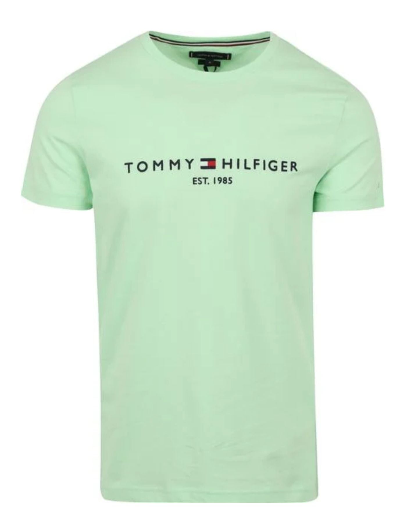 T-shirt pour l'homme MW0MW11797 LXZ TOMMY HILFIGER