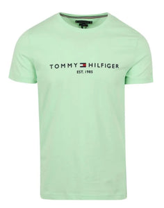 T-shirt for man MW0MW11797 LXZ TOMMY HILFIGER